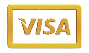 visa icon
